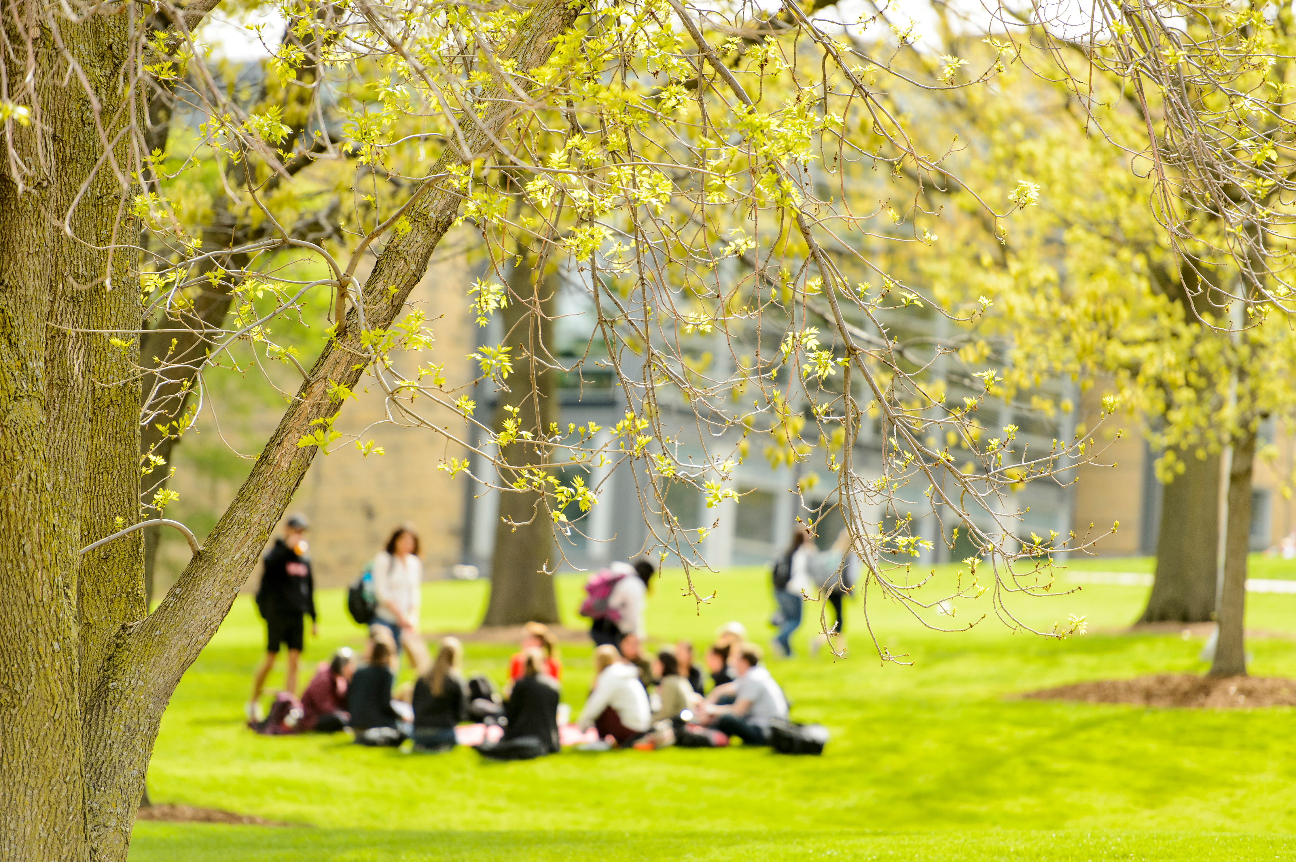 How third party billing works at UW-Madison